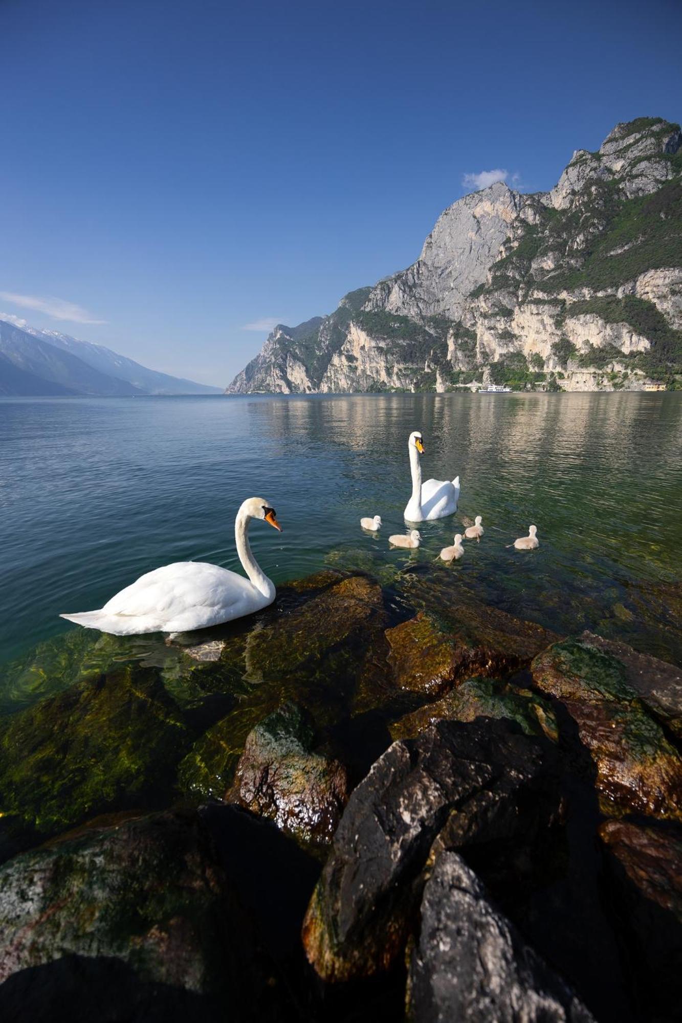 Appartamento Laura Riva del Garda Exterior foto